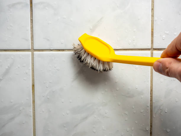 Best Black Mold Removal  in Oak Hill, FL