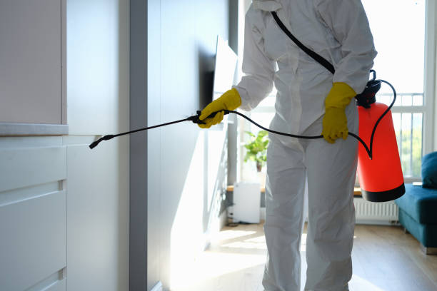 Best Emergency Mold Removal  in Oak Hill, FL