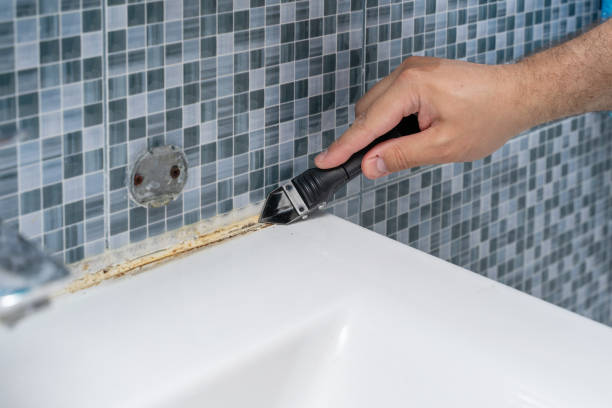 Oak Hill, FL Mold Removal Company