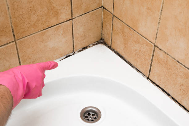 Best Commercial Mold Removal  in Oak Hill, FL